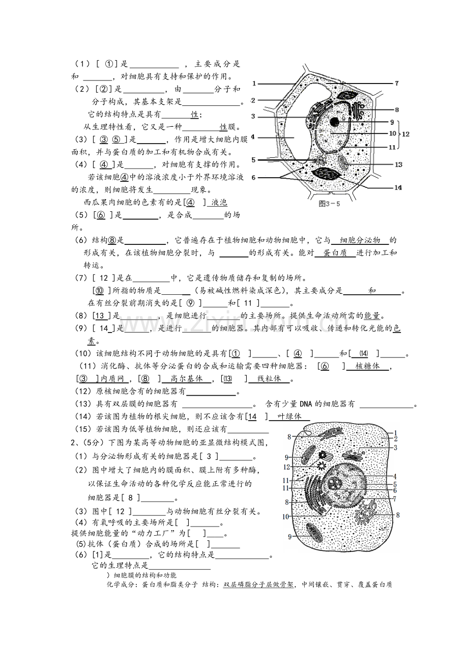 高中生物题型汇总.doc_第2页