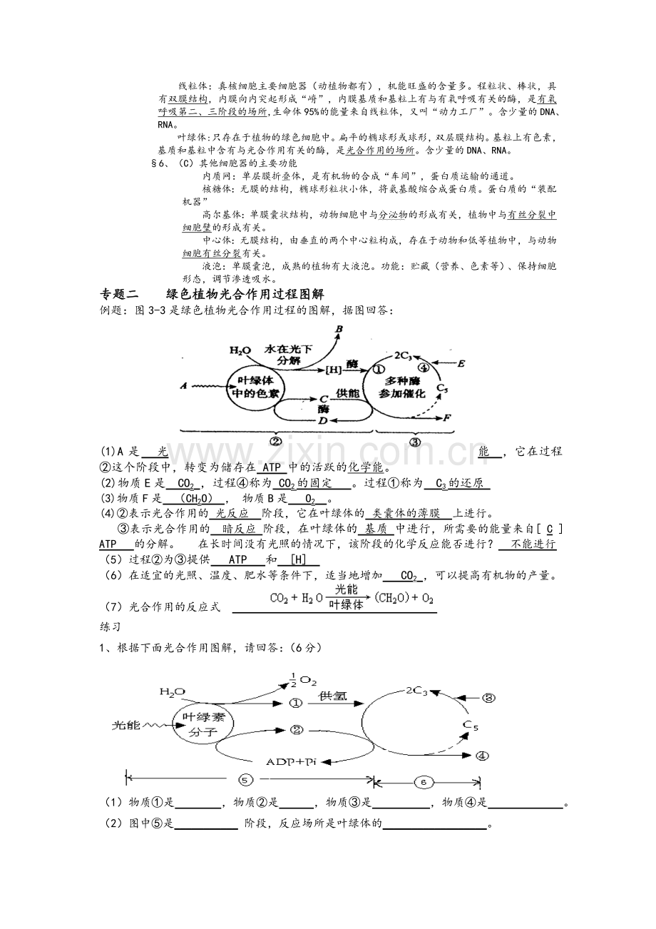 高中生物题型汇总.doc_第3页