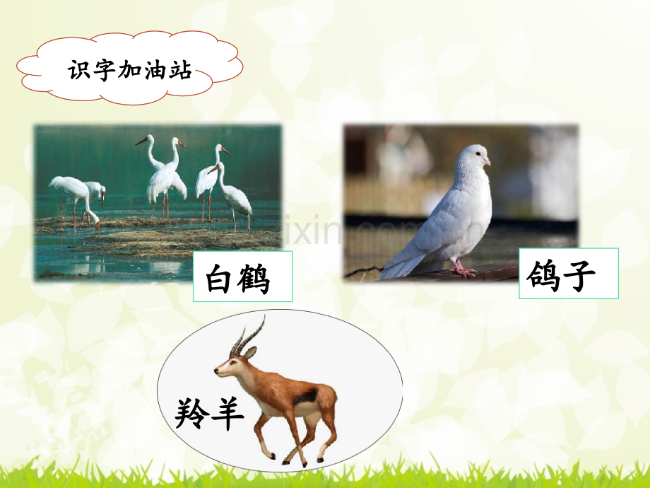 部编版二年级语文上册《语文园地八》.ppt_第3页