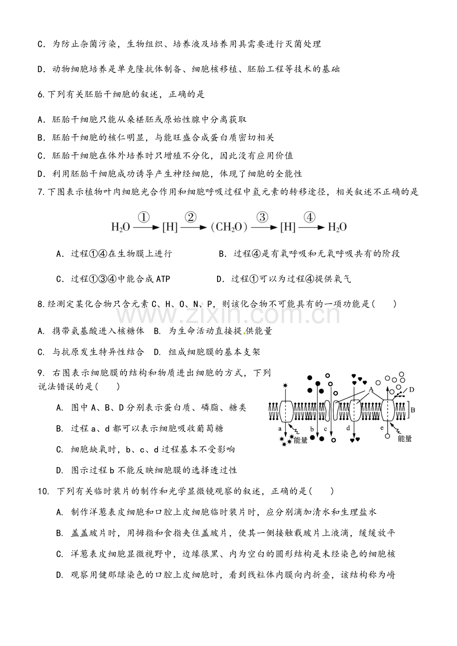 高二生物模拟试题.doc_第2页