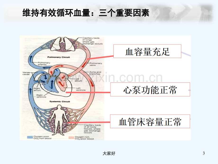 心源性休克诊治思路与进展-PPT.ppt_第3页