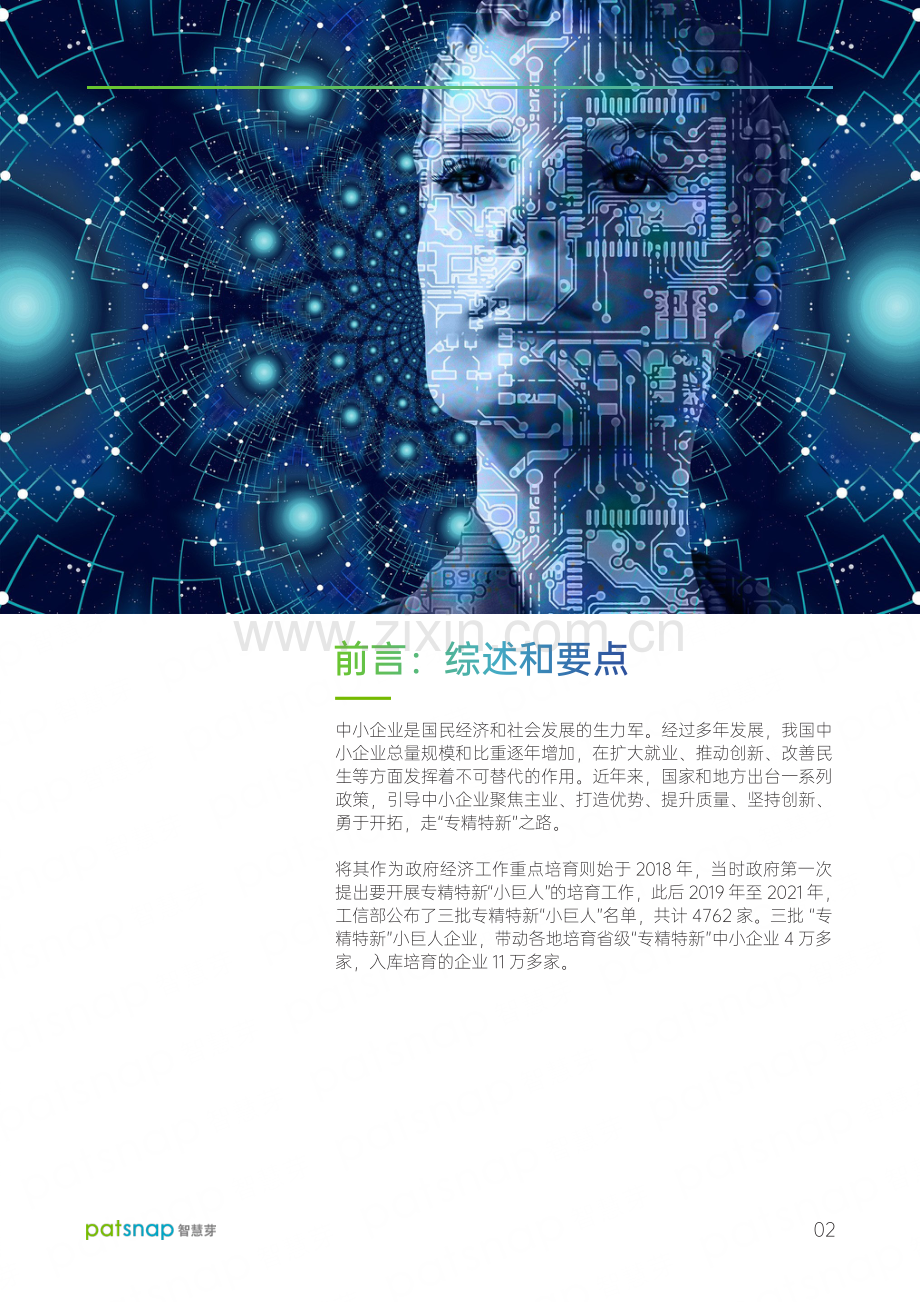 2021“专精特新”小巨人企业专利能力和科创力报告.pdf_第3页