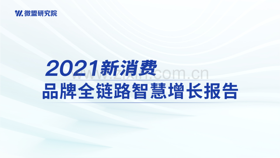 2021新消费品牌全链路智慧增长报告.pdf_第1页