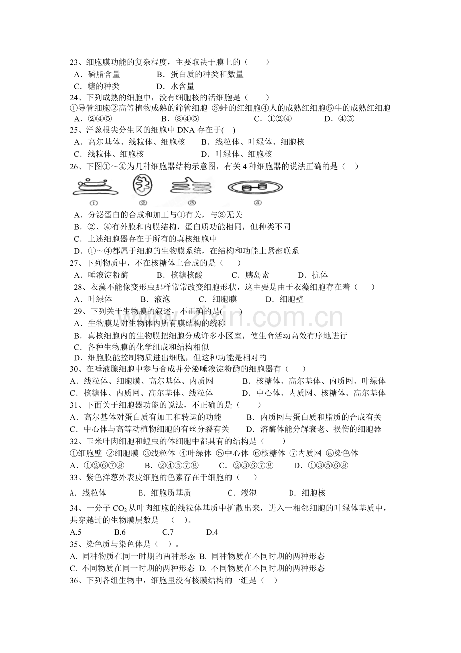 四川省攀枝花市2016-2017学年高一生物上册期中考试题.doc_第3页