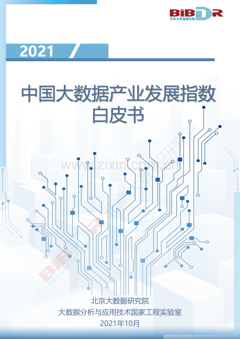 2021中国大数据产业发展指数白皮书.pdf_第1页