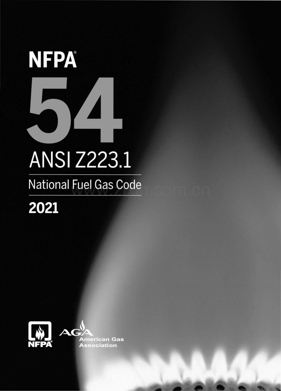 NFPA 54 ANSI Z223.1-2021 美国燃气规范.pdf_第1页