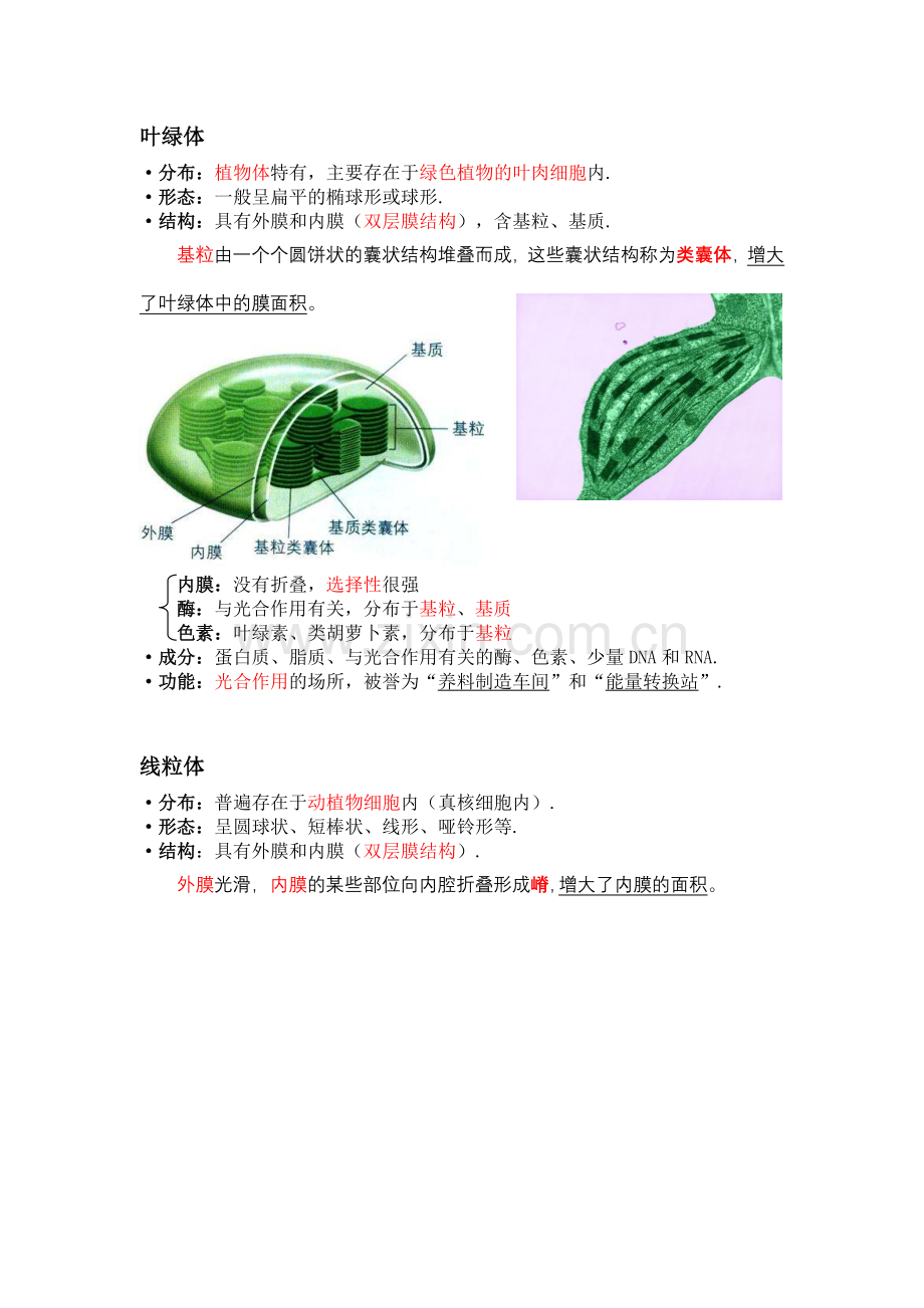 【高一生物】细胞器知识点总结.doc_第1页