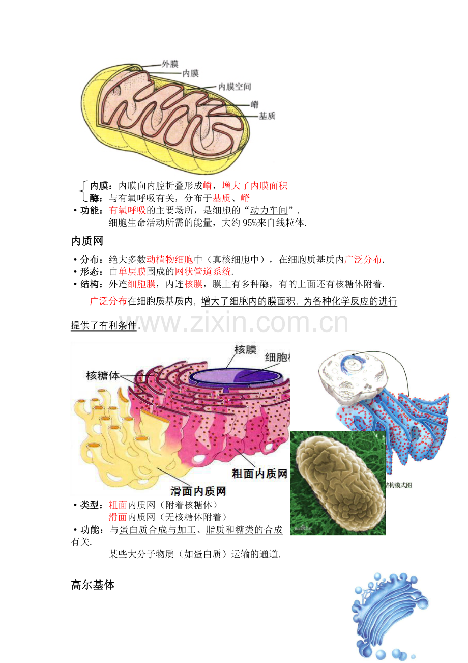 【高一生物】细胞器知识点总结.doc_第2页