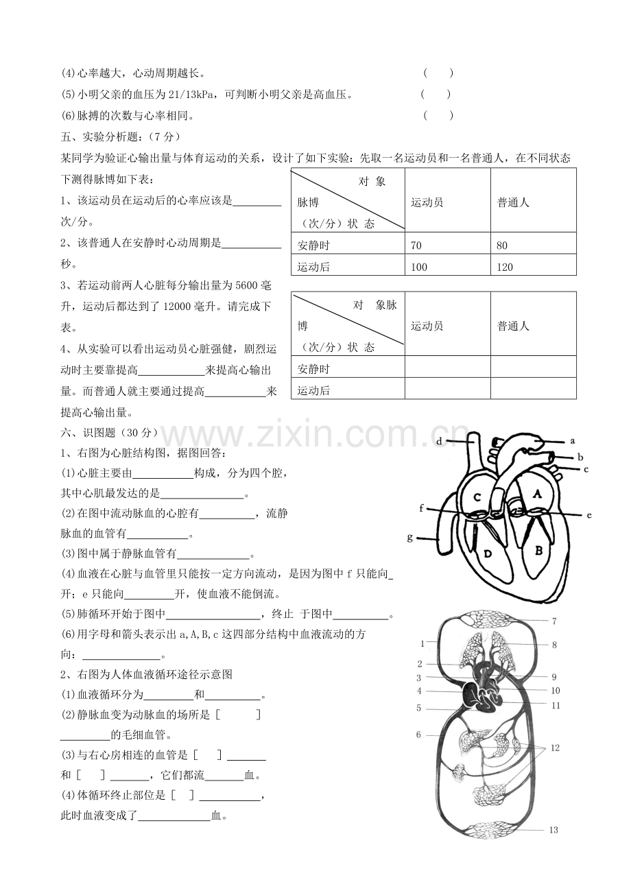 七年级生物下册人体内的物质运输测试题.doc_第3页