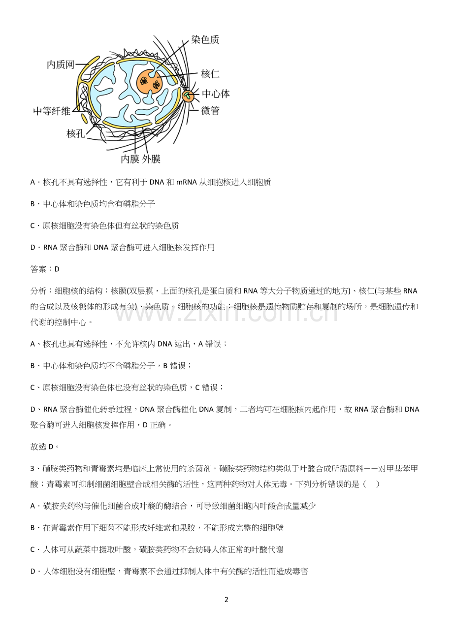 洛阳市高中生物第3章细胞的基本结构解题技巧总结.docx_第2页