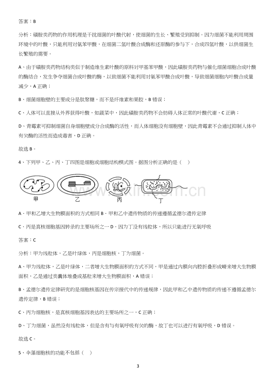 洛阳市高中生物第3章细胞的基本结构解题技巧总结.docx_第3页