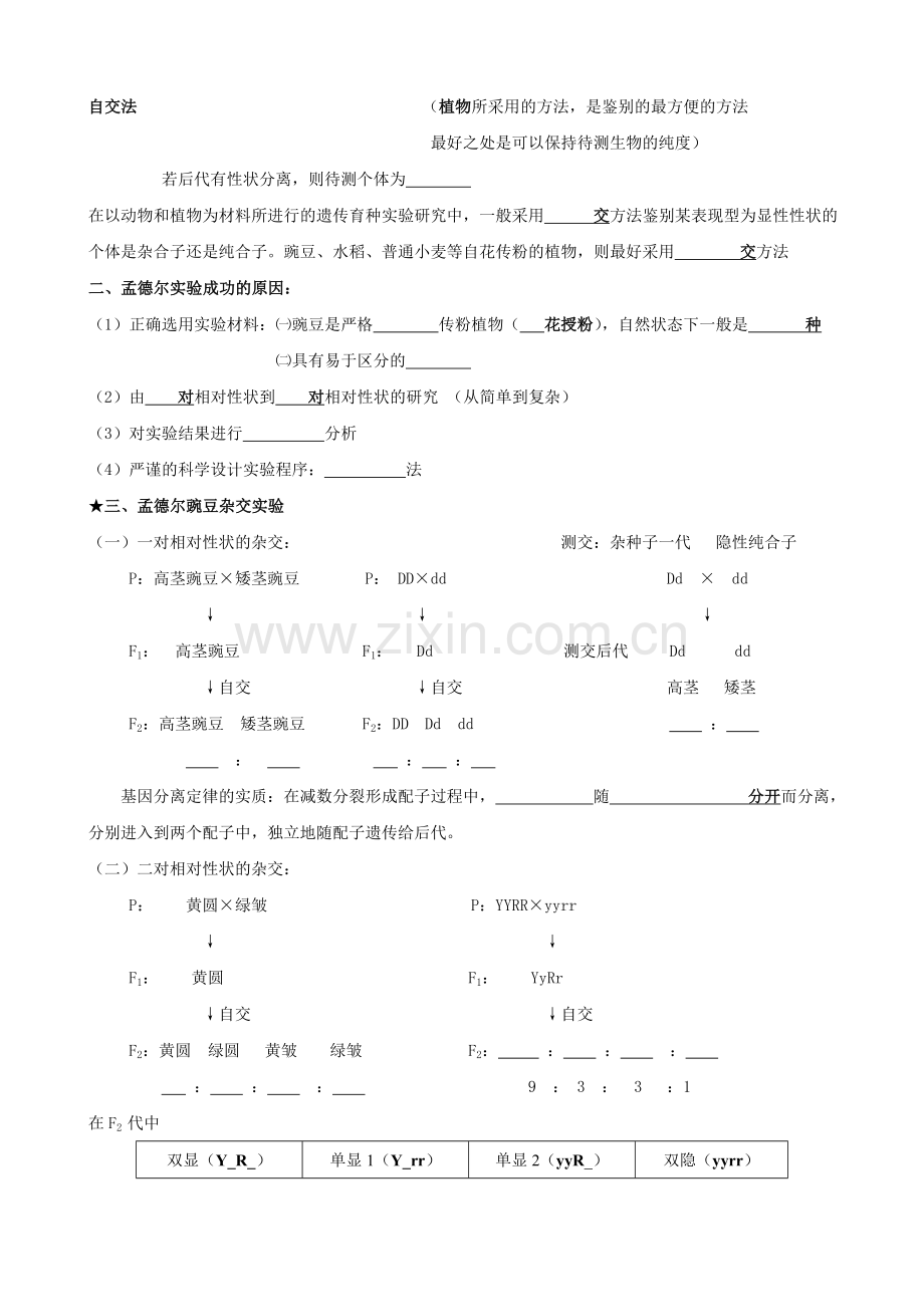 高中生物必修二知识点填空最详版.doc_第2页