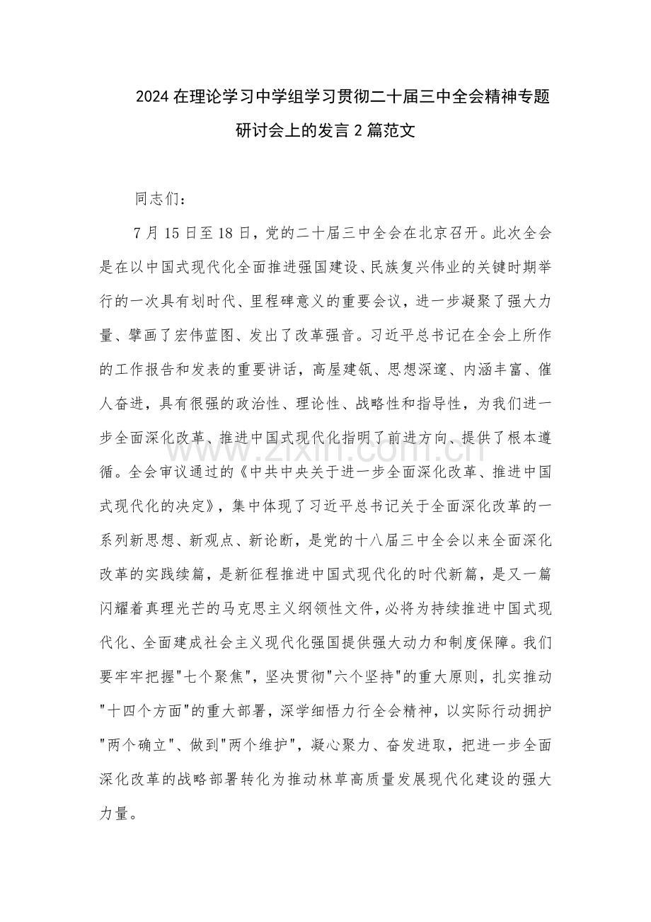 2024在理论学习中学组学习贯彻二十届三中全会精神专题研讨会上的发言2篇范文.docx_第1页