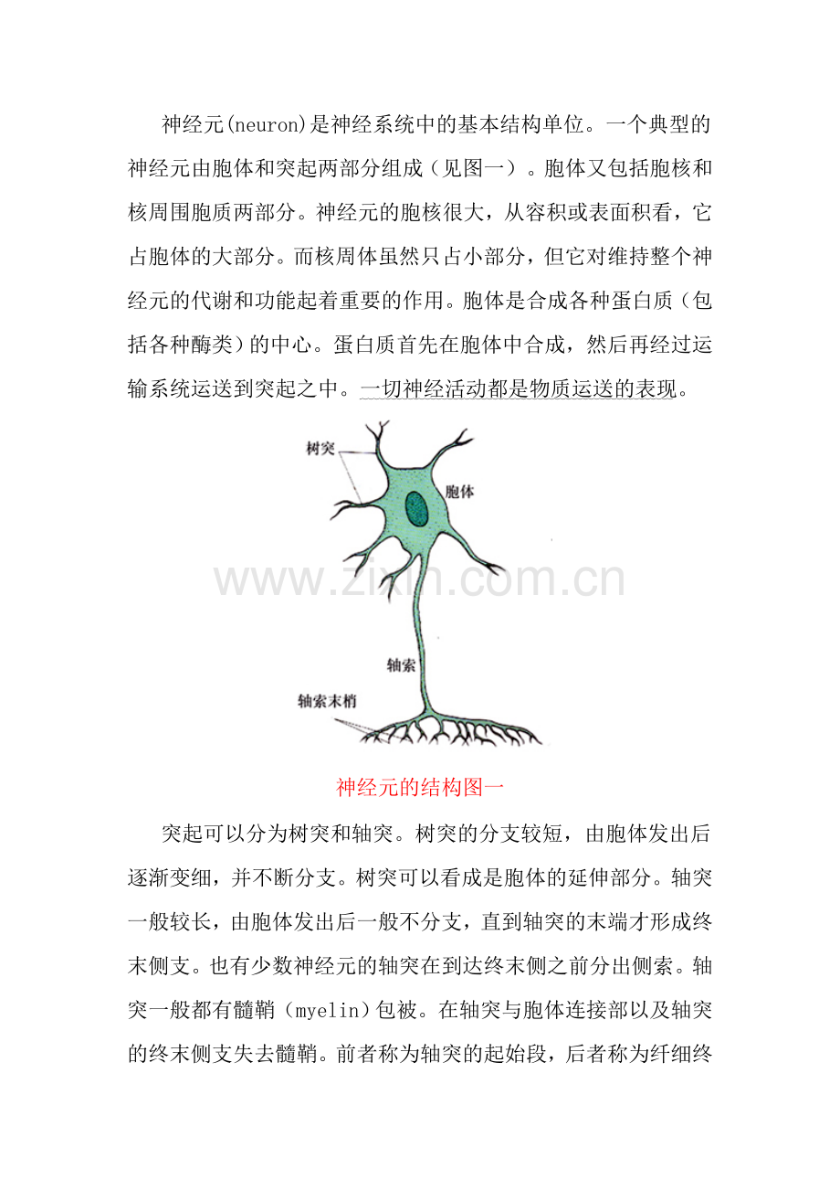 认识你的大脑和情绪.doc_第2页