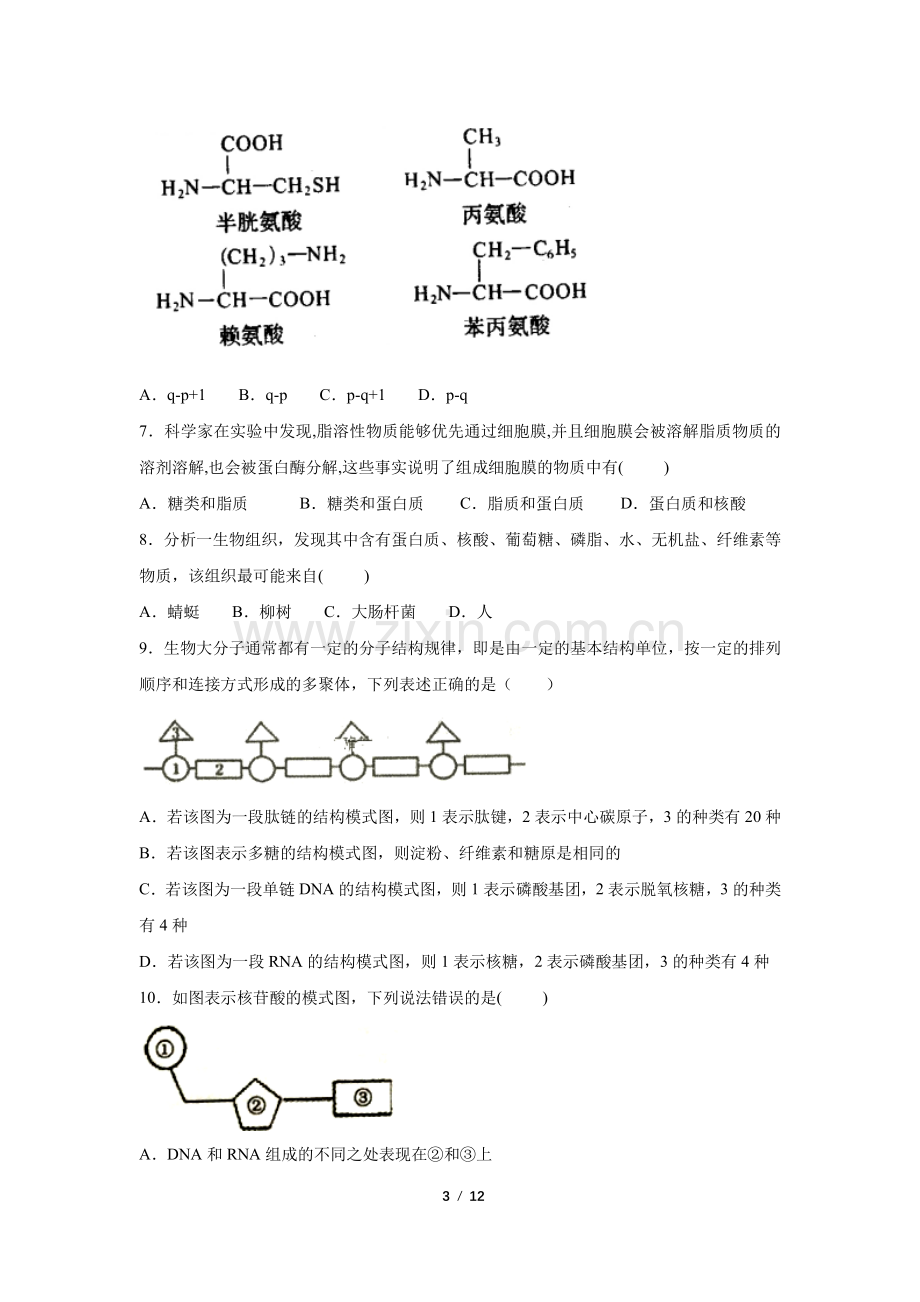 2020年上期高二年级第四次周考生物科试题.pdf_第3页