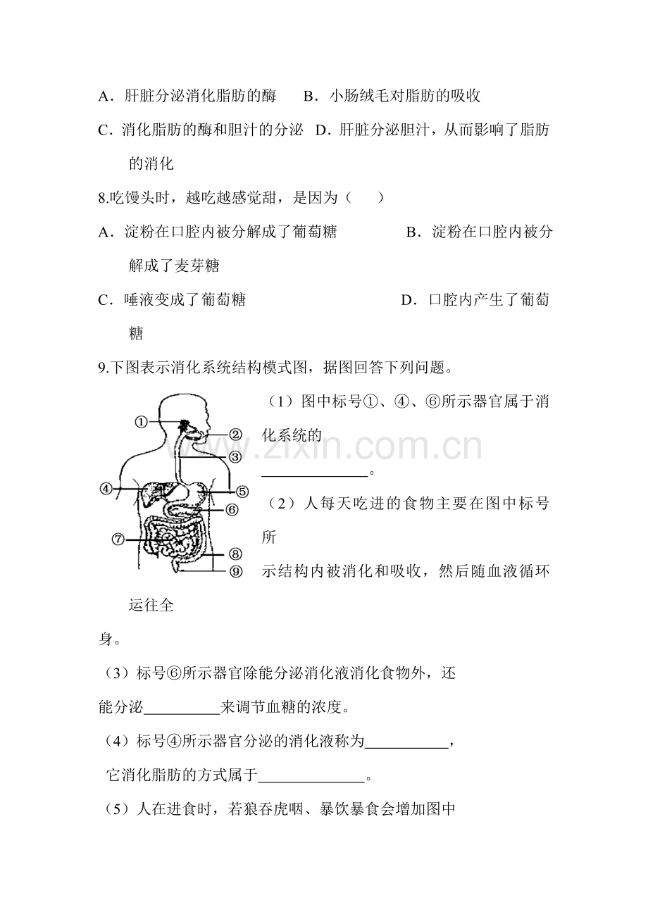 消化和吸收同步练习.doc_第2页