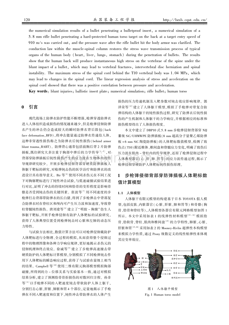 步枪弹侵彻背部穿硬防护人体靶标钝击效应研究.pdf_第2页