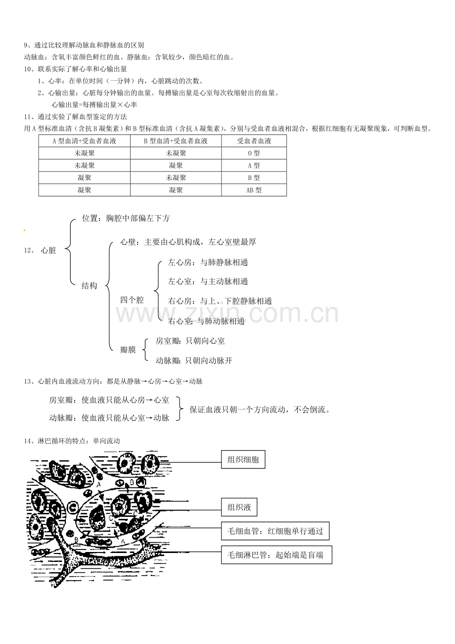 七年级生物下册知识点总结(1-7章)冀教版.doc_第3页