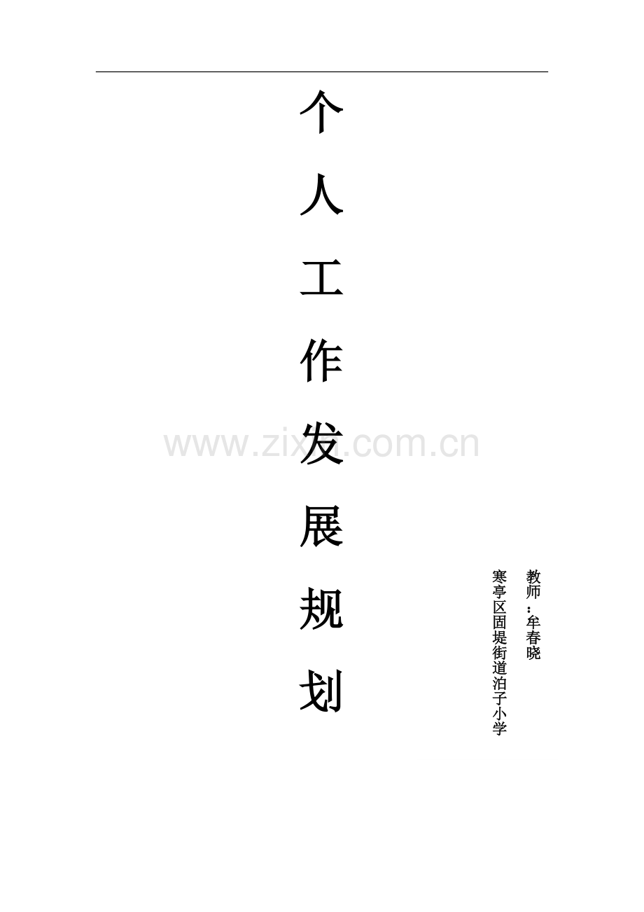 小学音乐教师专业发展计划.doc_第1页