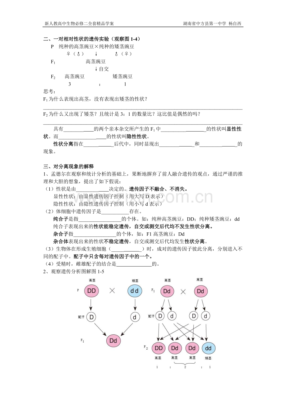 高中生物必修二全套学案-教案.doc_第2页