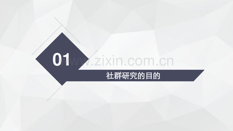 典型社群运营模式分析及商业应用研究.pdf_第3页