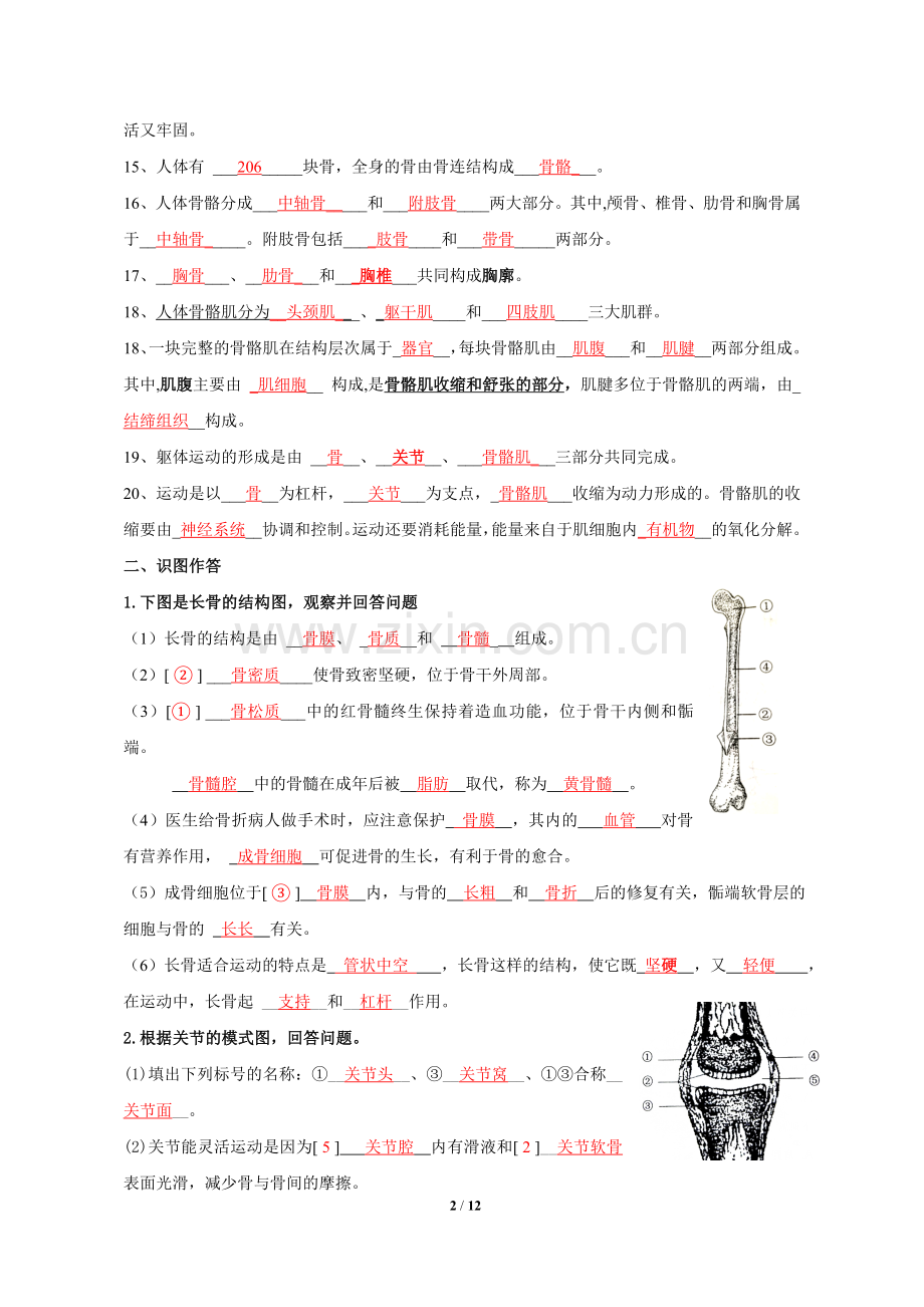 八年级上册生物复习题及答案.doc_第2页