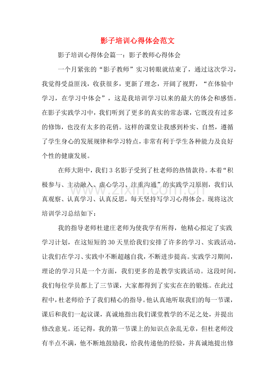 影子培训心得体会范文.doc_第1页