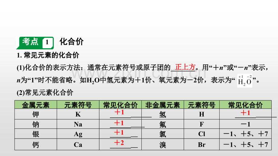 2020年浙江中考化学一轮复习课件：第2讲元素化合价与化学式(共17张PPT).pptx_第2页