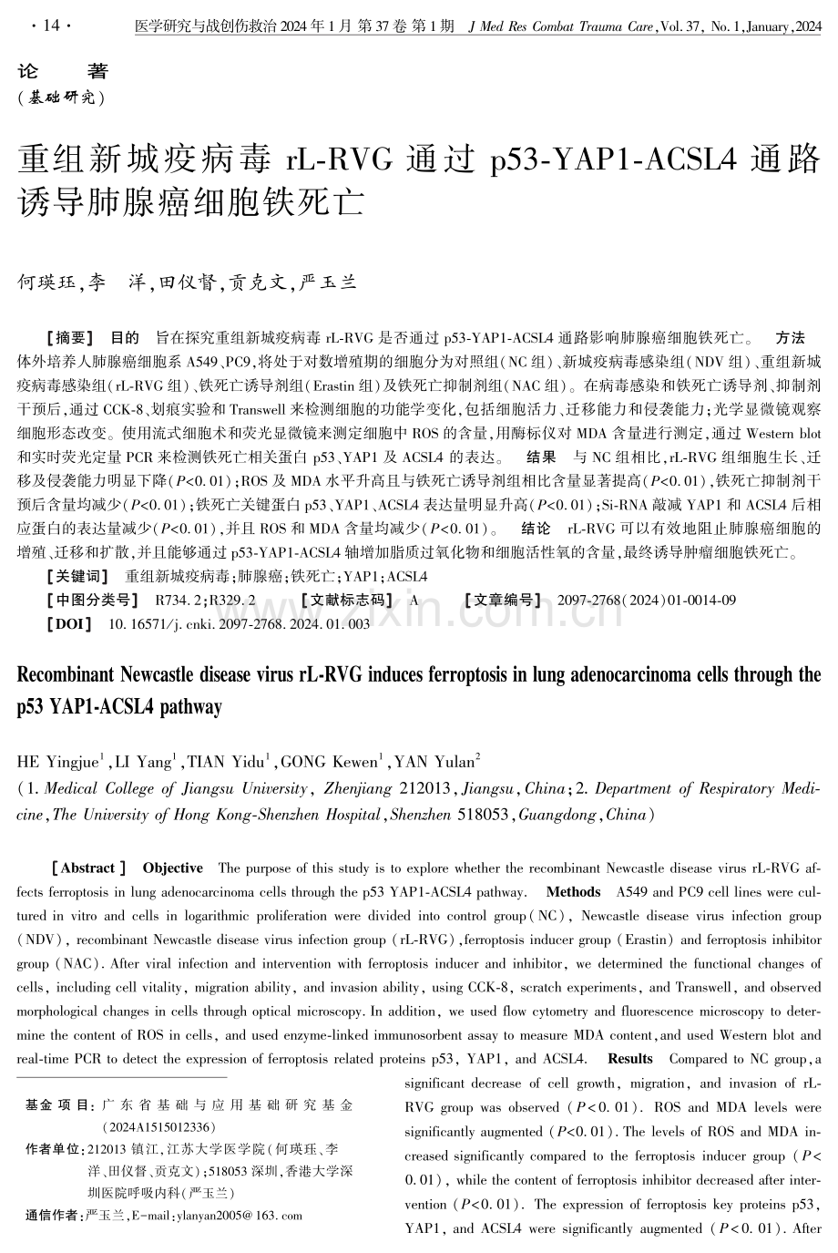 重组新城疫病毒rL-RVG通过p53-YAP1-ACSL4通路诱导肺腺癌细胞铁死亡.pdf_第1页