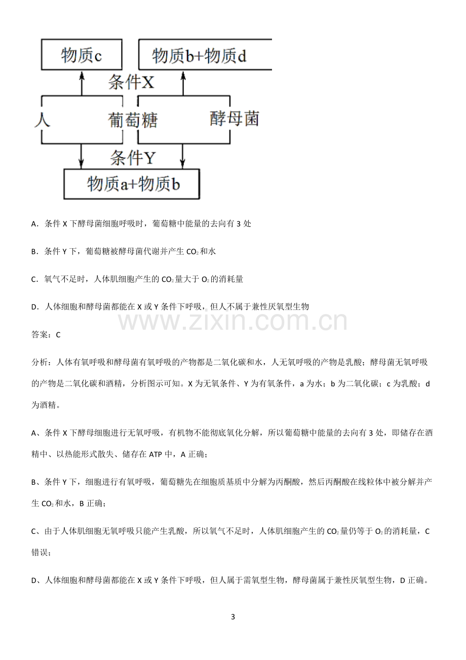 广东省部分中学2023高中生物第5章细胞的能量供应和利用知识点归纳总结.pdf_第3页