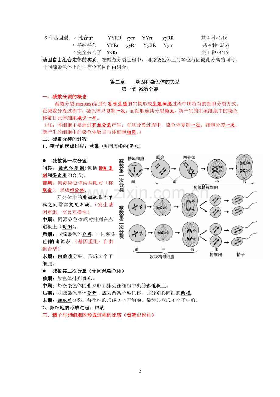 高中生物必修二知识点总结.doc_第2页