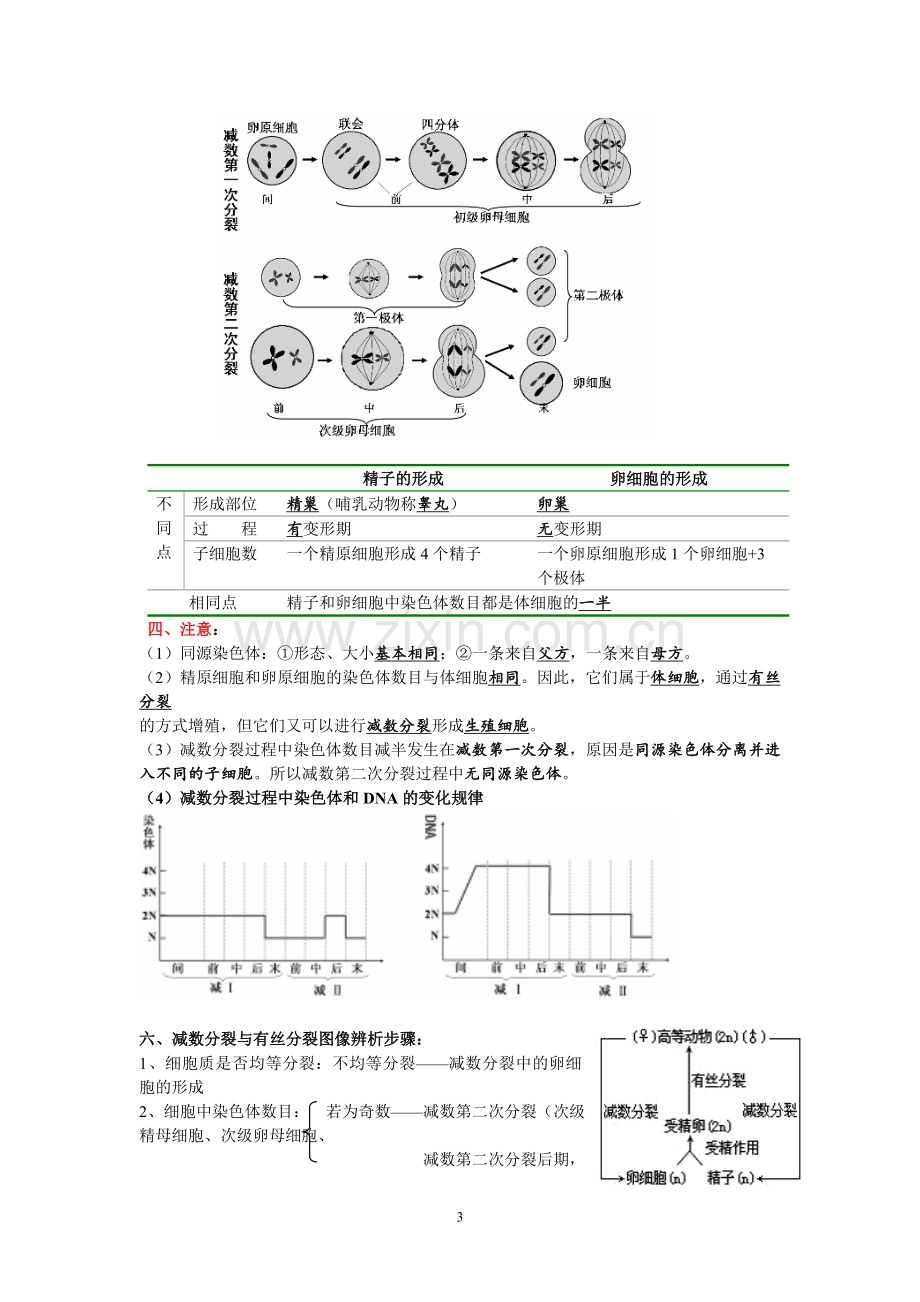 高中生物必修二知识点总结.doc_第3页