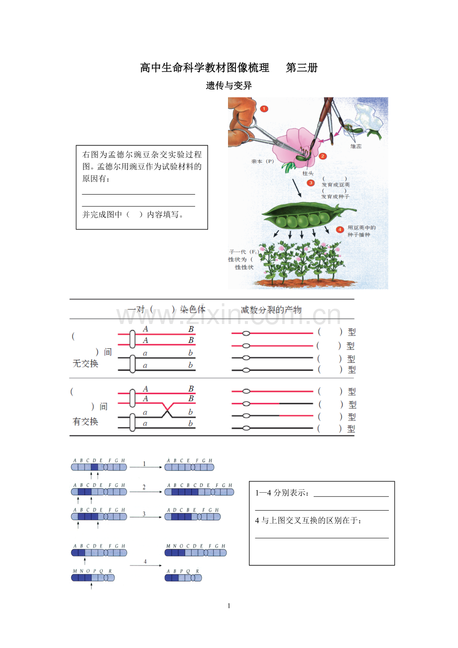 图形知识整理第三册.doc_第1页