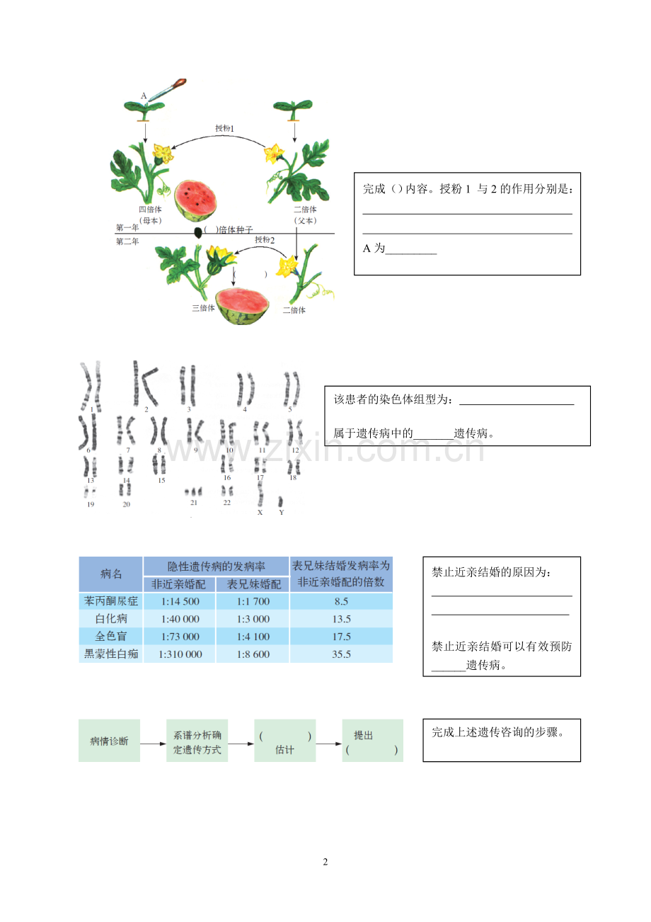 图形知识整理第三册.doc_第2页