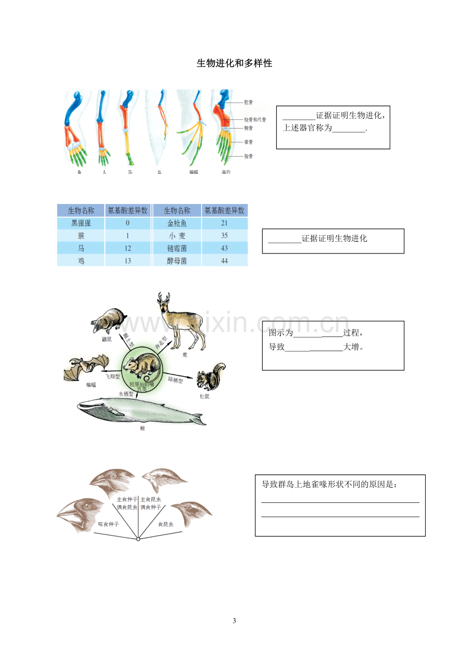 图形知识整理第三册.doc_第3页