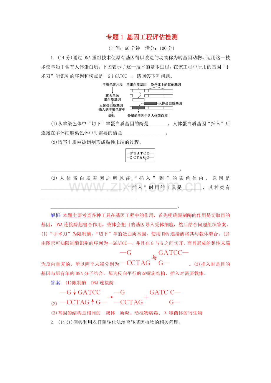 高中生物专题1基因工程评估检测新人教版选修3.doc_第1页