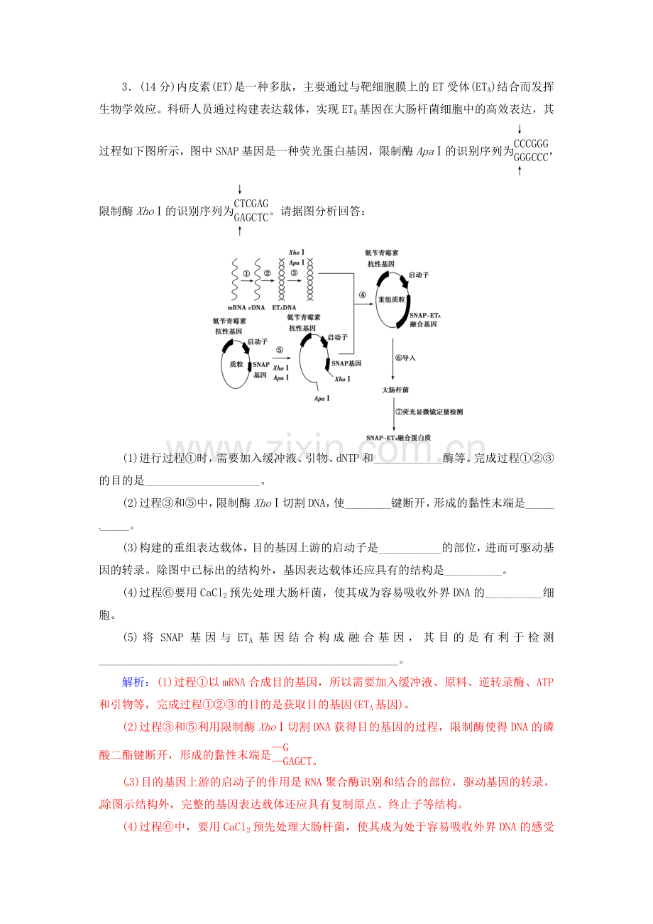 高中生物专题1基因工程评估检测新人教版选修3.doc_第3页