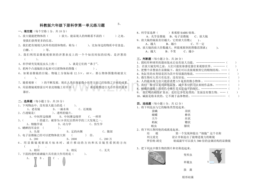 教科版小学科学六年级下册第一单元练习题.doc_第1页