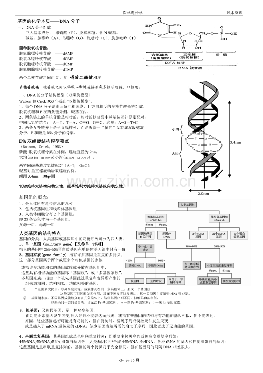 医学遗传学笔记.doc_第3页