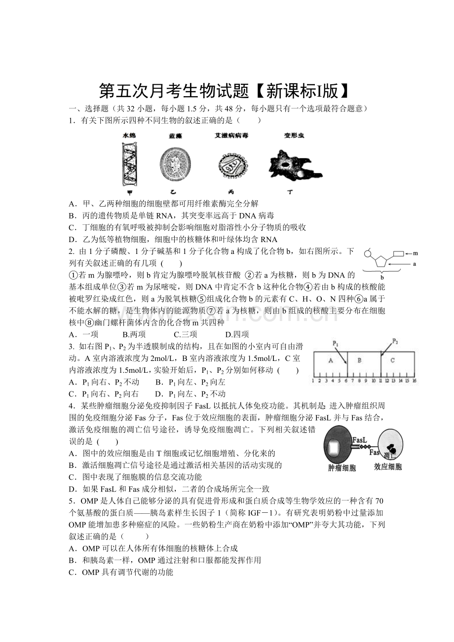 新课标2016届高三生物上册第五次月考试题1.doc_第1页