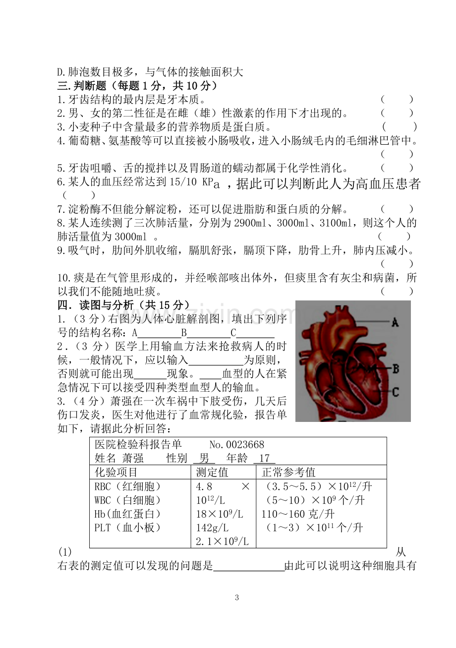 苏教版七年级生物下册期中考试试卷及答案.doc_第3页