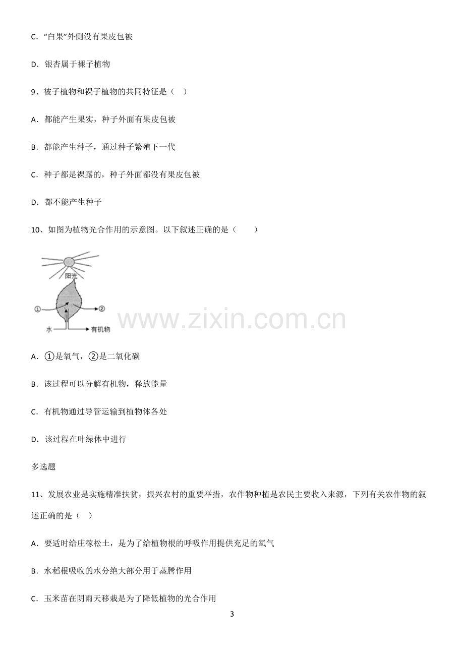 通用版初中生物七年级上册第三单元生物圈中的绿色植物重难点归纳.pdf_第3页