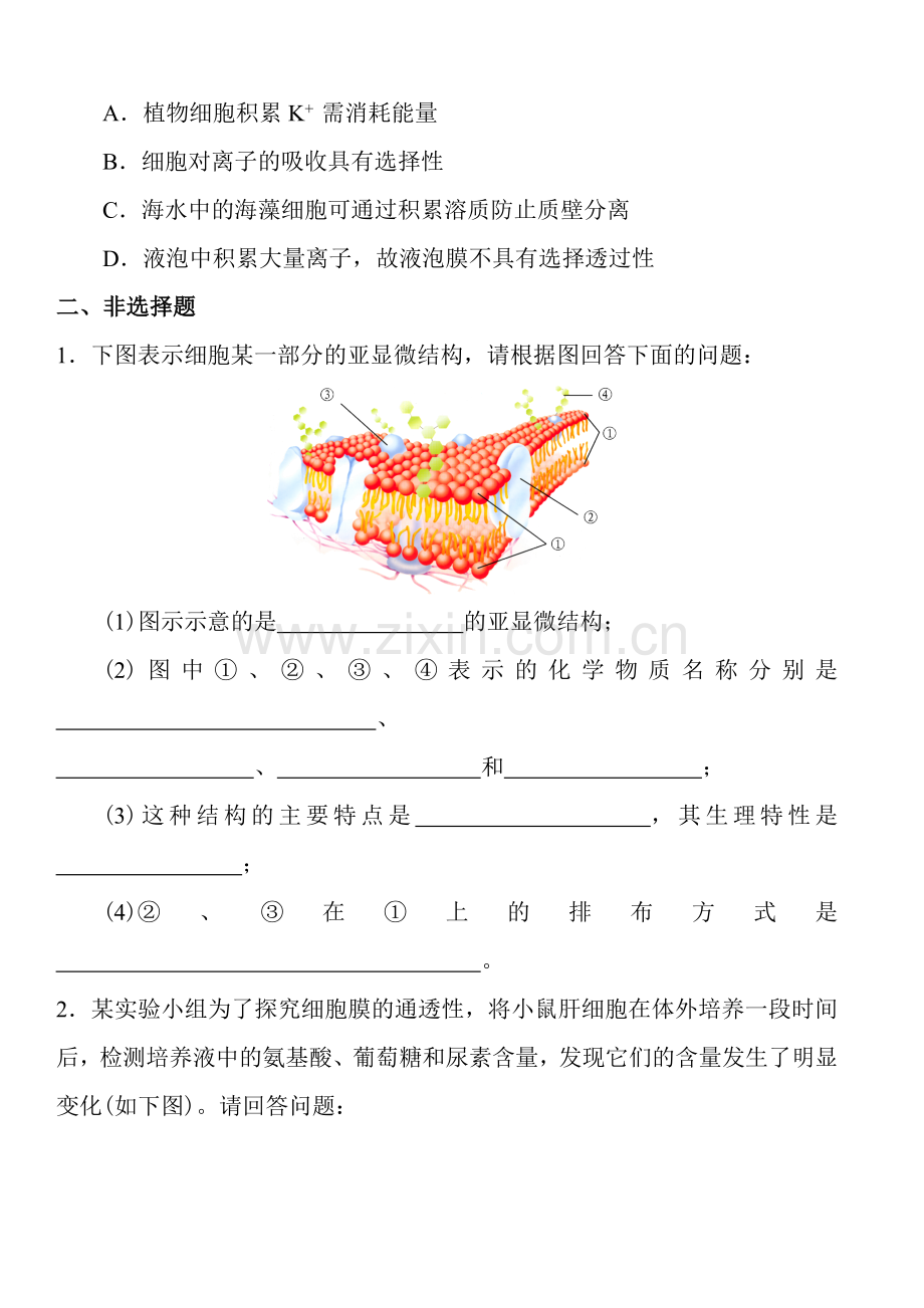 高中生物必修一第四章练习及答案.doc_第3页