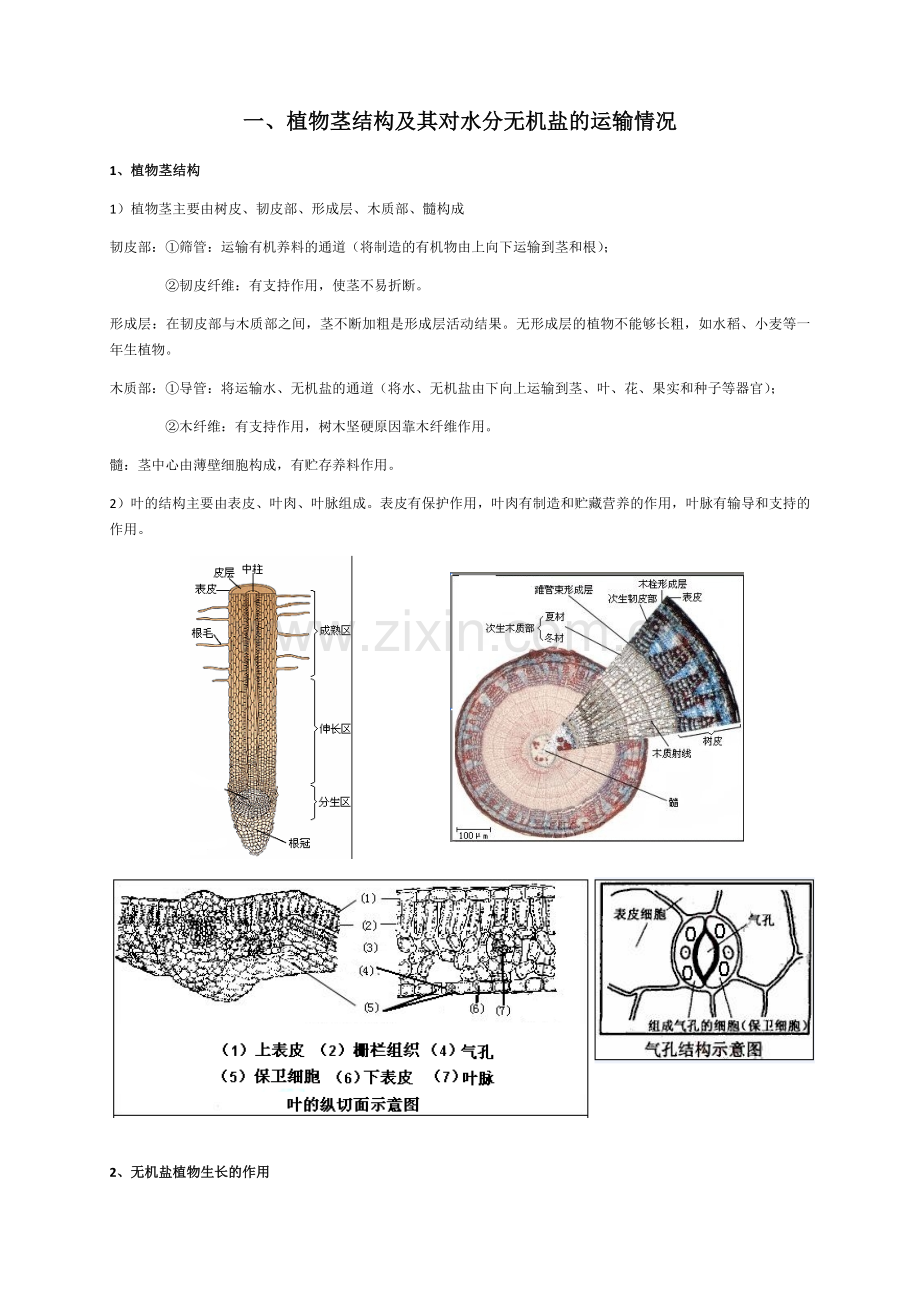 华师大初中生物复习要点.doc_第1页