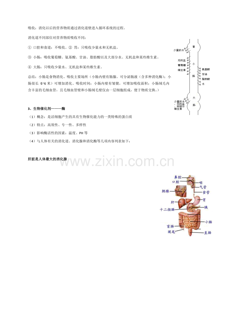 华师大初中生物复习要点.doc_第3页