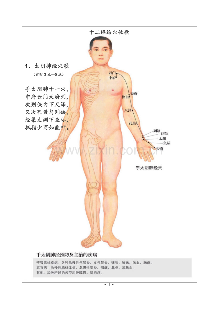 十二经络穴位歌(图文对照).doc_第1页