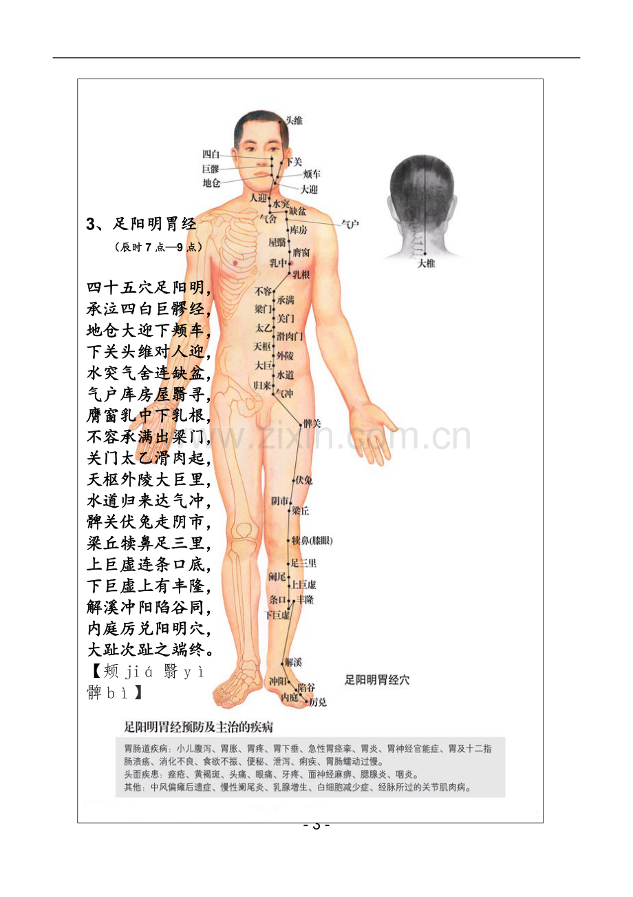 十二经络穴位歌(图文对照).doc_第3页