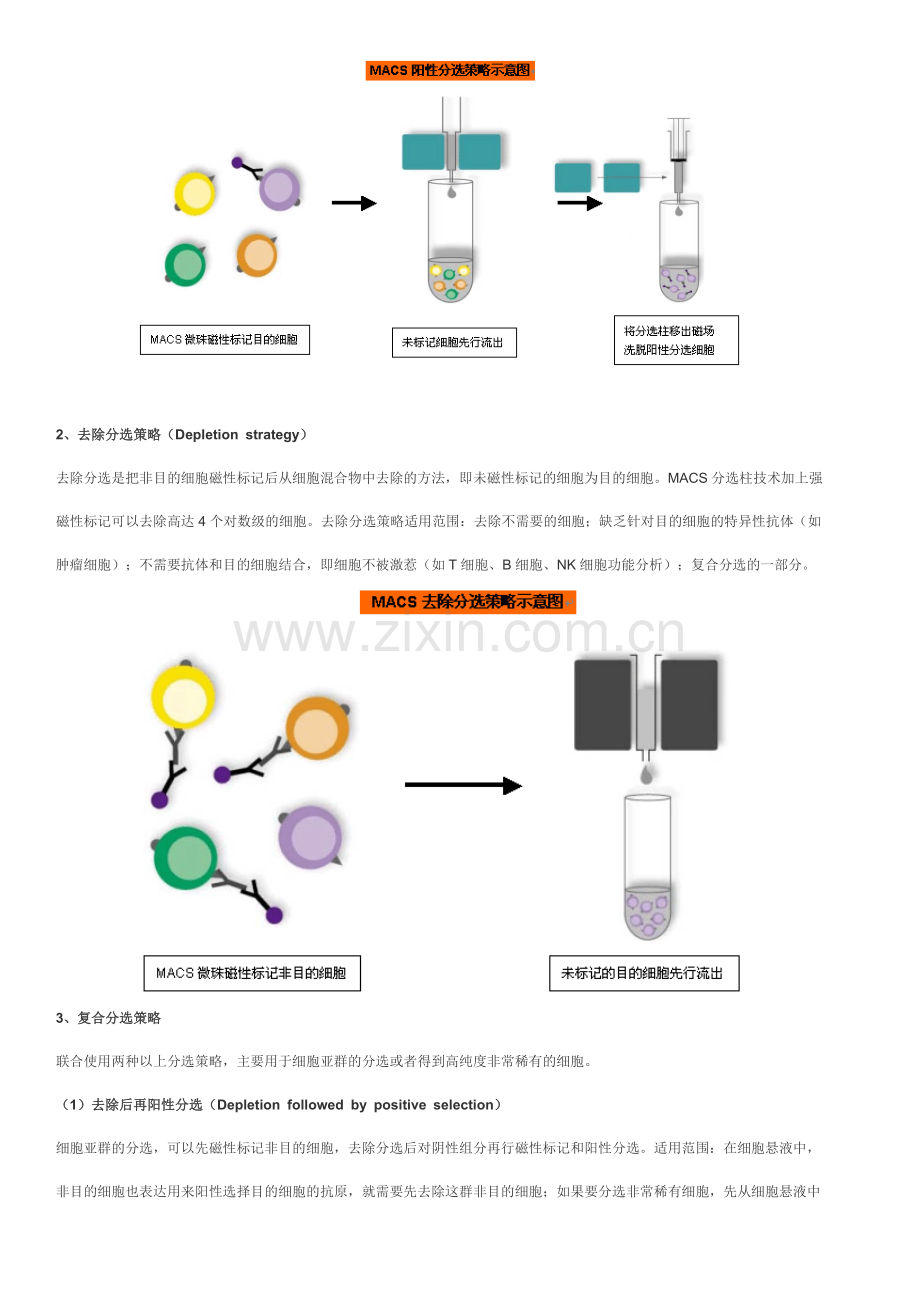 MACS磁珠分选.doc_第2页