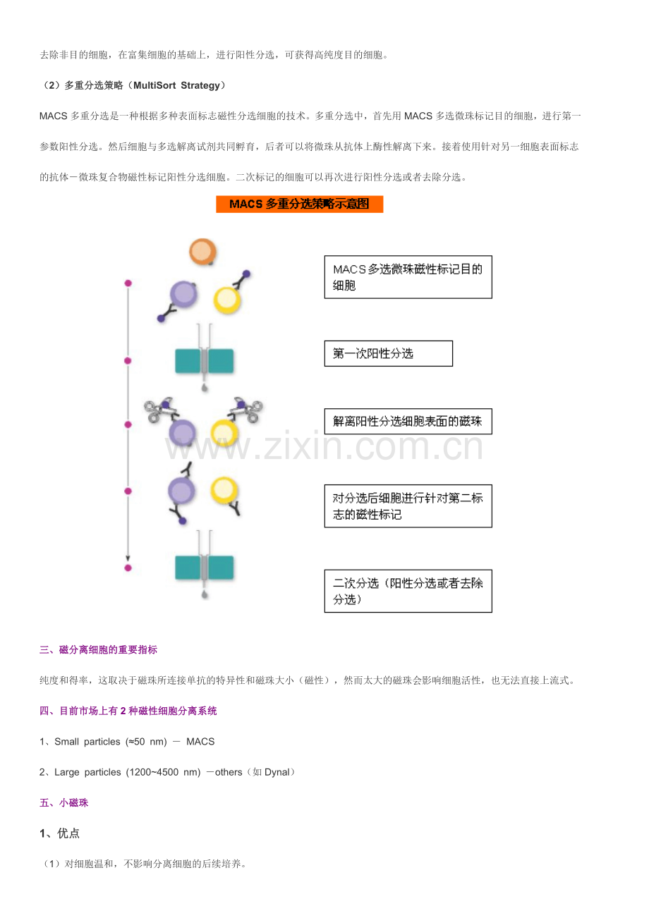 MACS磁珠分选.doc_第3页