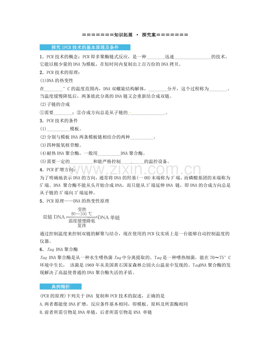 高中生物5.2多聚酶链式反应扩增DNA片段导学案新人教版选修.doc_第3页